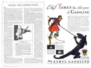 Better Homes & Gardens August 1932 Magazine Article: Page 44