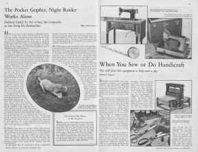 Better Homes & Gardens September 1932 Magazine Article: Page 22