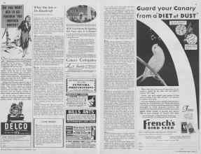 Better Homes & Gardens September 1932 Magazine Article: Page 48