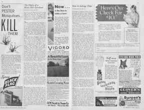 Better Homes & Gardens September 1932 Magazine Article: Page 50