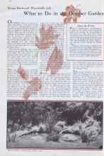 Better Homes & Gardens October 1932 Magazine Article: What to Do in the October Garden