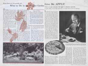 Better Homes & Gardens October 1932 Magazine Article: Page 24