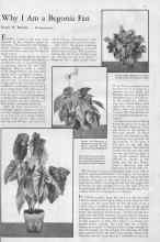 Better Homes & Gardens November 1932 Magazine Article: Why I Am a Begonia Fan