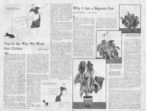Better Homes & Gardens November 1932 Magazine Article: Page 14