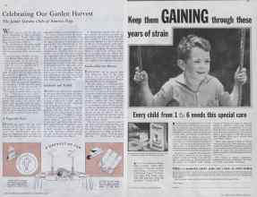 Better Homes & Gardens November 1932 Magazine Article: Page 24