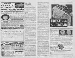 Better Homes & Gardens November 1932 Magazine Article: Page 32
