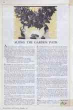 Better Homes & Gardens December 1932 Magazine Article: ALONG THE GARDEN PATH