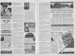 Better Homes & Gardens December 1932 Magazine Article: Page 40