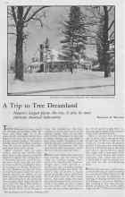 Better Homes & Gardens February 1933 Magazine Article: A Trip to Tree Dreamland