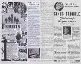 Better Homes & Gardens February 1933 Magazine Article: AMONG OURSELVES