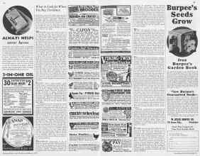 Better Homes & Gardens February 1933 Magazine Article: Page 66