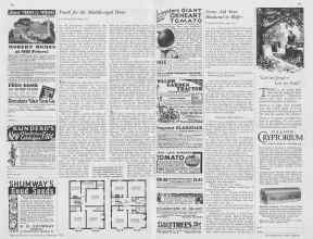 Better Homes & Gardens February 1933 Magazine Article: Page 68