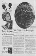 Better Homes & Gardens March 1933 Magazine Article: We Visit a Lilac Sage