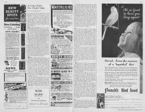 Better Homes & Gardens March 1933 Magazine Article: Page 56