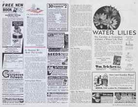 Better Homes & Gardens March 1933 Magazine Article: Page 60