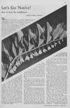 Better Homes & Gardens April 1933 Magazine Article: Let's Go Native!