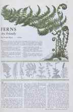 Better Homes & Gardens April 1933 Magazine Article: FERNS Are Friendly