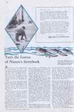 Better Homes & Gardens April 1933 Magazine Article: Turn the Leaves of Nature's Storybook