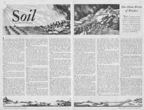 Better Homes & Gardens April 1933 Magazine Article: Soil
