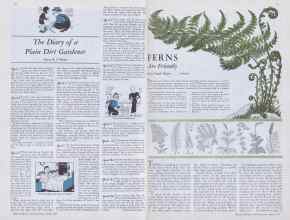 Better Homes & Gardens April 1933 Magazine Article: Page 32