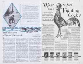 Better Homes & Gardens April 1933 Magazine Article: Page 38