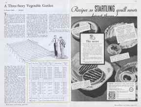 Better Homes & Gardens April 1933 Magazine Article: Page 42
