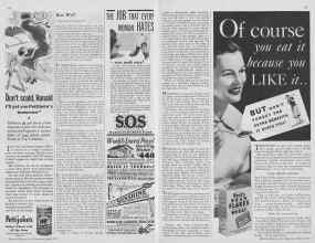 Better Homes & Gardens April 1933 Magazine Article: Page 64