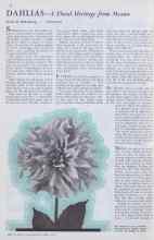Better Homes & Gardens May 1933 Magazine Article: DAHLIAS--A Floral Heritage from Mexico
