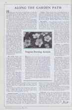 Better Homes & Gardens May 1933 Magazine Article: ALONG THE GARDEN PATH