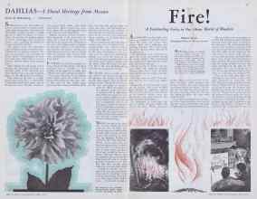 Better Homes & Gardens May 1933 Magazine Article: Page 20