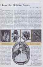 Better Homes & Gardens June 1933 Magazine Article: I Love the Oldtime Posies