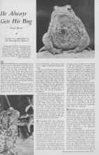 Better Homes & Gardens June 1933 Magazine Article: He Always Gets His Bug