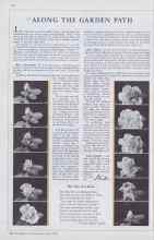 Better Homes & Gardens June 1933 Magazine Article: ALONG THE GARDEN PATH