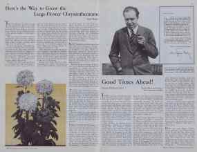 Better Homes & Gardens June 1933 Magazine Article: Page 16
