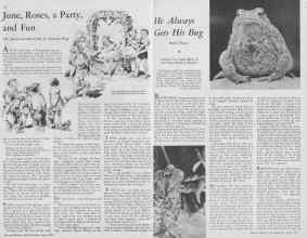 Better Homes & Gardens June 1933 Magazine Article: Page 26