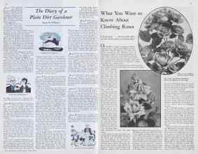 Better Homes & Gardens June 1933 Magazine Article: Page 28