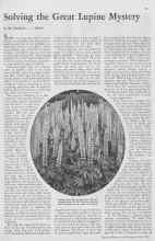 Better Homes & Gardens July 1933 Magazine Article: Solving the Great Lupine Mystery