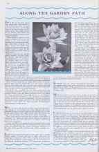 Better Homes & Gardens July 1933 Magazine Article: ALONG THE GARDEN PATH