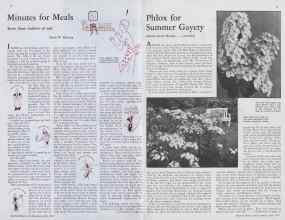 Better Homes & Gardens July 1933 Magazine Article: Page 12