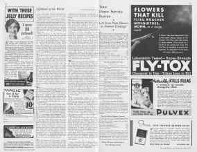 Better Homes & Gardens July 1933 Magazine Article: Page 42