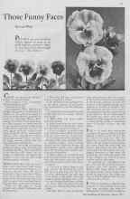 Better Homes & Gardens August 1933 Magazine Article: Those Funny Faces