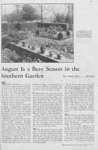 Better Homes & Gardens August 1933 Magazine Article: August Is a Busy Season in the Southern Garden