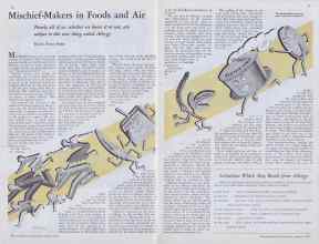 Better Homes & Gardens August 1933 Magazine Article: Mischief-Makers in Foods and Air