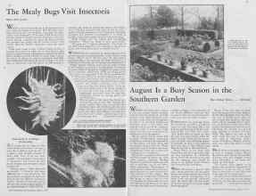 Better Homes & Gardens August 1933 Magazine Article: Page 26