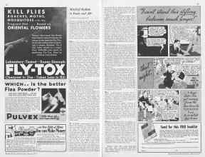 Better Homes & Gardens August 1933 Magazine Article: Page 38