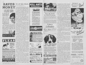 Better Homes & Gardens August 1933 Magazine Article: Page 48