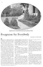 Better Homes & Gardens September 1933 Magazine Article: Evergreens for Everybody