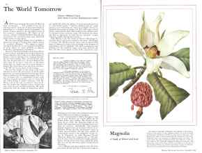 Better Homes & Gardens September 1933 Magazine Article: Page 10