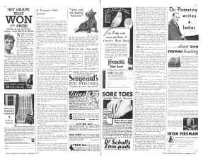 Better Homes & Gardens September 1933 Magazine Article: Page 46