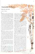 Better Homes & Gardens October 1933 Magazine Article: Autumn Glory!